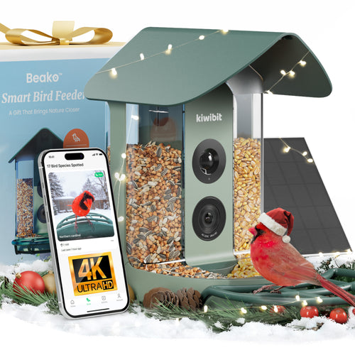 Beako™ Smart Bird Feeder with solar panel