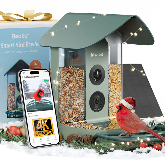 Beako™ Smart Bird Feeder with solar panel