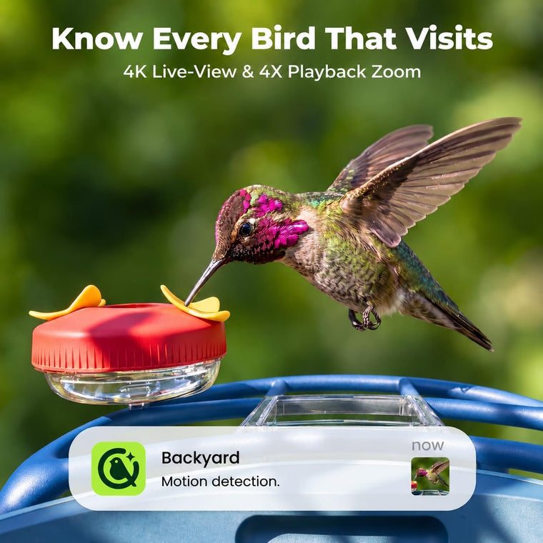 Kiwibit Bird Feeder 2 4K AI Camera with Hummingbird Feeder Kit (Blue)