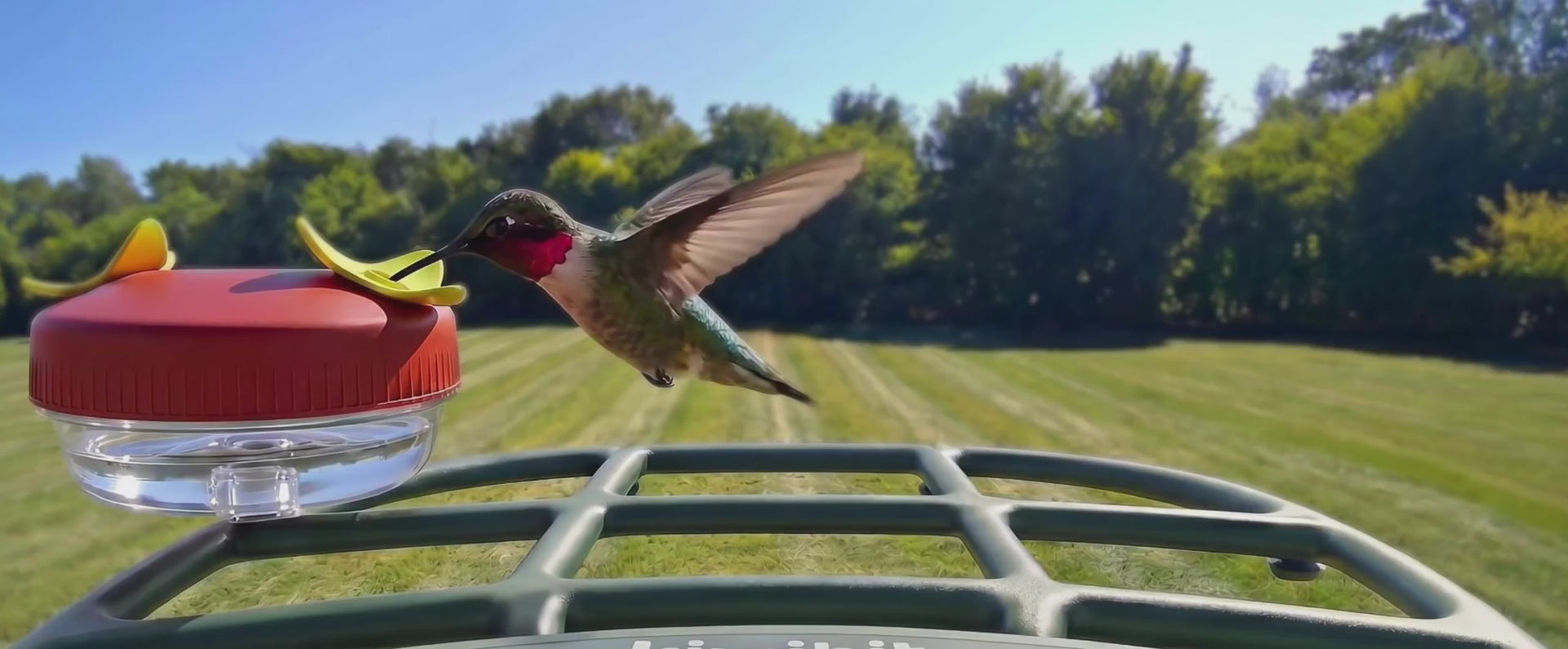 Meet the Newest Kiwibit Smart Bird Feeders