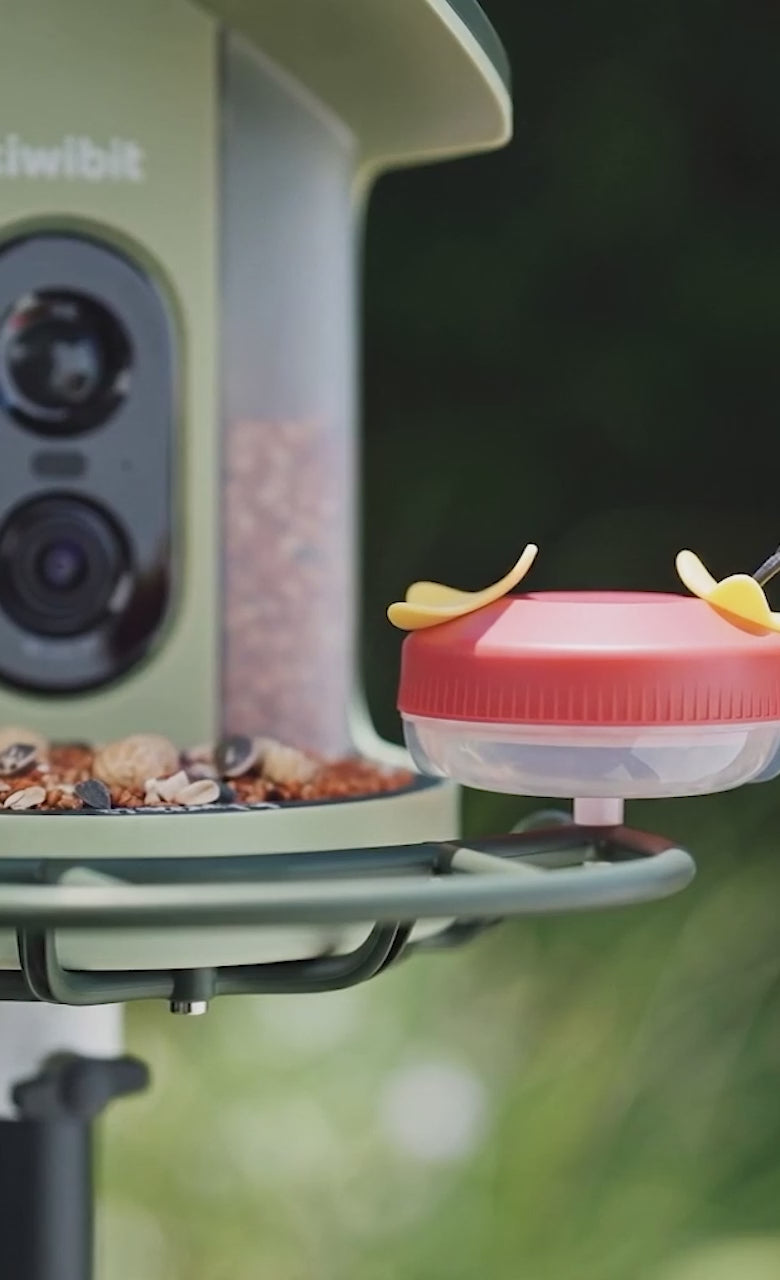 Premium Birdwatching, Made Easy