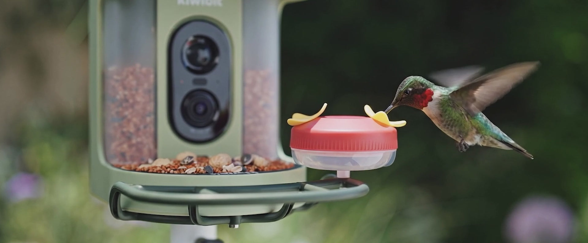 Premium Birdwatching, Made Easy