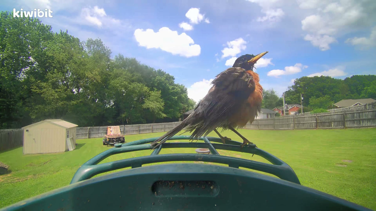 Drying Off